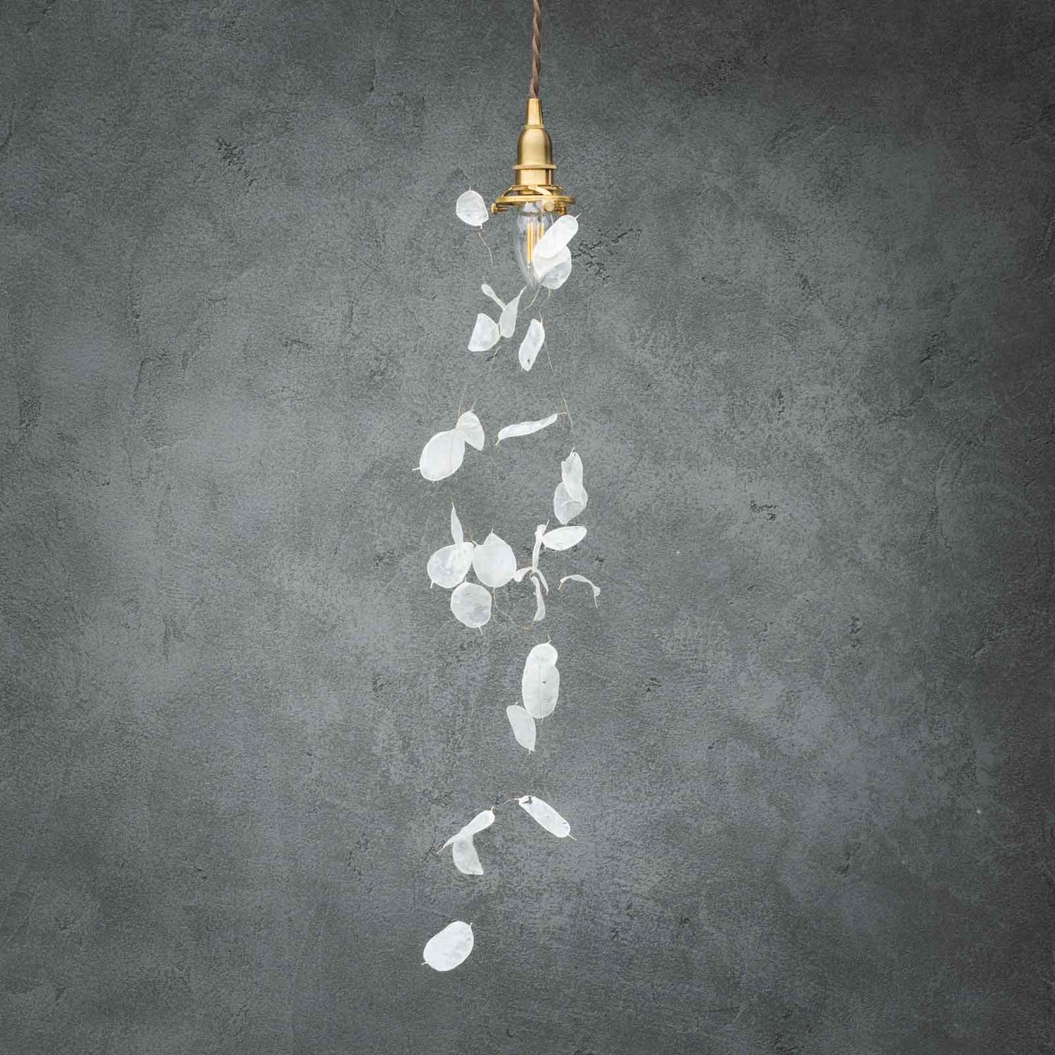 小型1灯 ルナリア